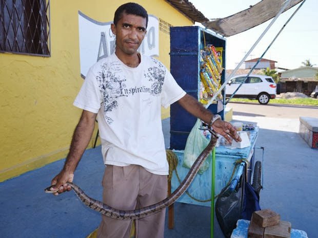 Homem captura cobra de um metro e meio com as mãos em João Pessoa 1 cobra1