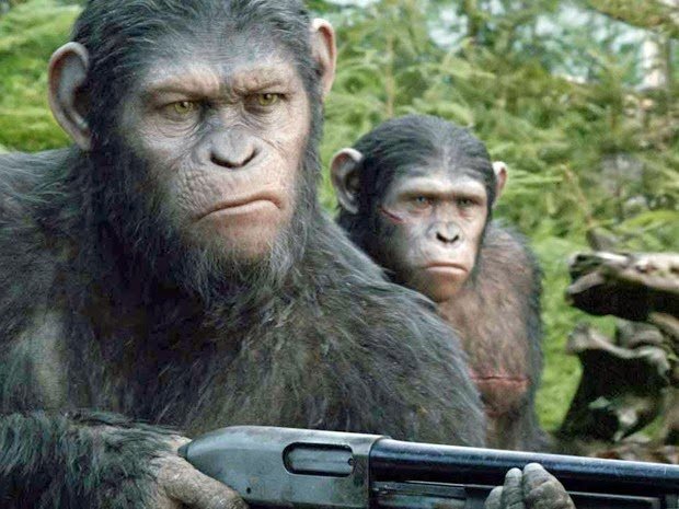 Cinemas da Paraíba têm pré-estreia de 'Planeta dos Macacos: o confronto' 1 1280 dawn planet apes