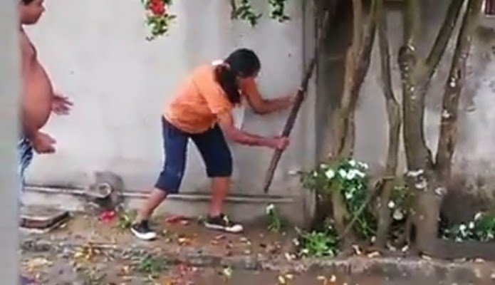 Idosa espanca cachorro até a morte 1 a70849b90720150309120802