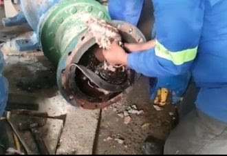 Vídeo: Jacaré é encontrado em tubulação de água em Santa Rita