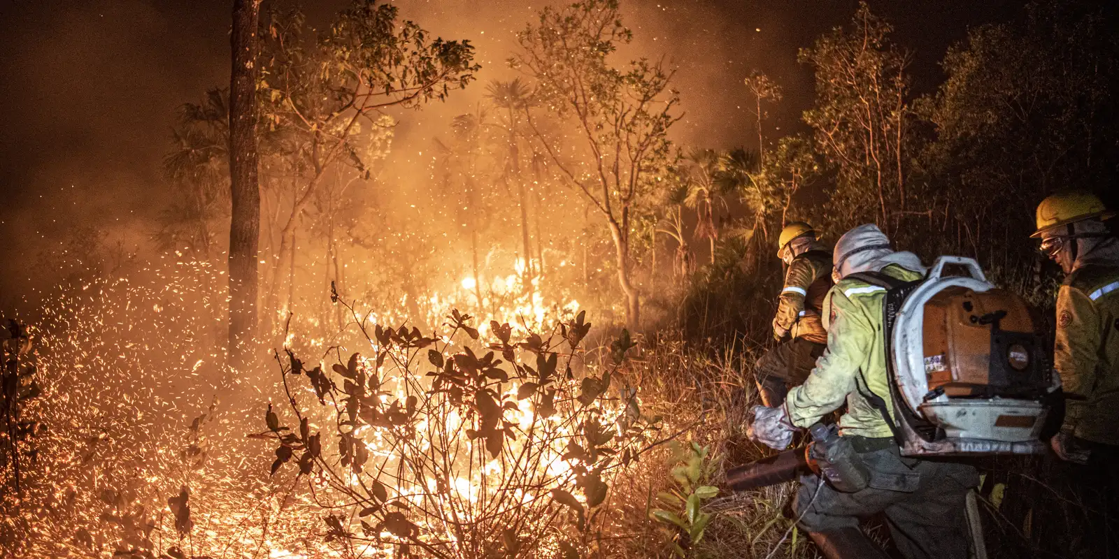 Ibama extingue 229 incêndios no Amazonas e segue no combate ao fogo Ibama extingue 229 incêndios no Amazonas e segue no combate ao fogo