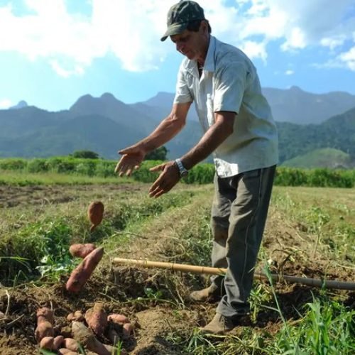 Incra abre seleção para beneficiar famílias em programa de Reforma Agrária em Santa Rita