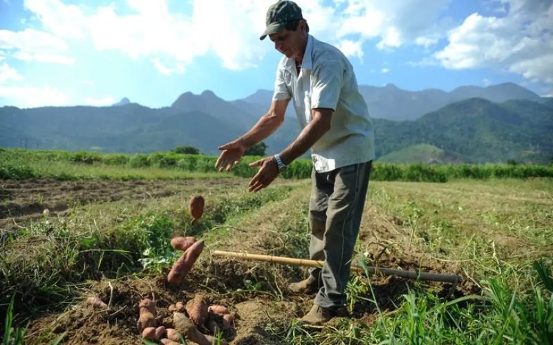 Incra abre seleção para beneficiar famílias em programa de Reforma Agrária em Santa Rita