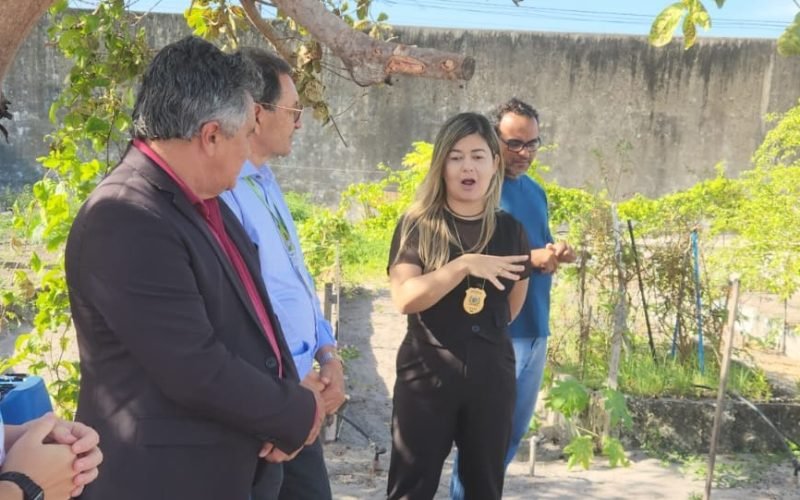Sistema prisional e agricultura familiar discutem projetos produtivos na Penitenciária Maria Júlia Maranhão