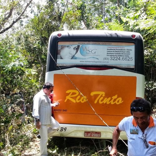 Ônibus da empresa Rio Tinto tomba e passageiros são atacados por abelhas