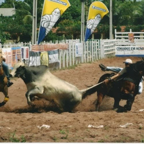 Vaquejada corre risco de ser proibida pelo STF