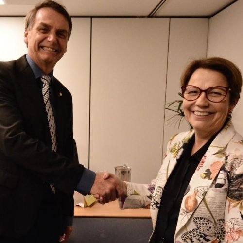 Ministra da Agricultura estará em Santa Rita neste sábado, 16