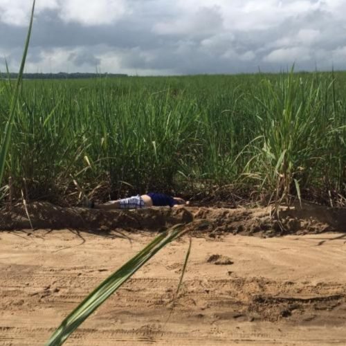 Corpo é encontrado degolado às margens da BR 101 em Santa Rita