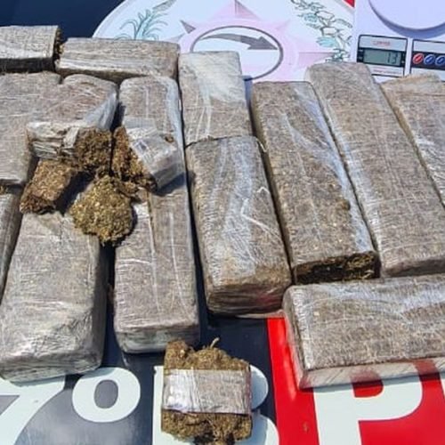 Polícia apreende 15 tabletes de maconha e prende homem em Santa Rita.