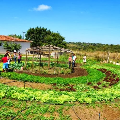 Encontro discute produção agroecológica sustentável na PB