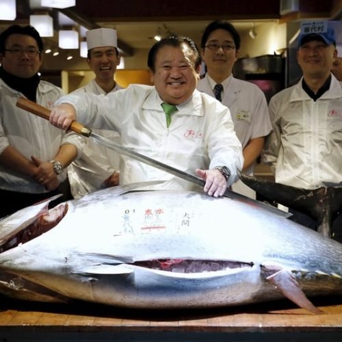 Primeiro atum do ano é leiloado no Japão por R$ 474 mil