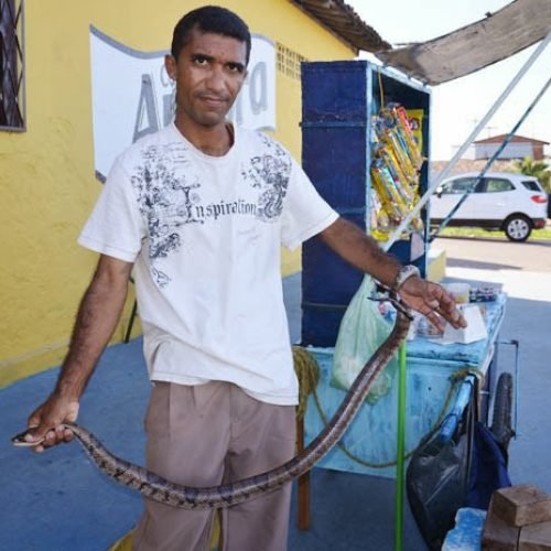 Homem captura cobra de um metro e meio com as mãos em João Pessoa