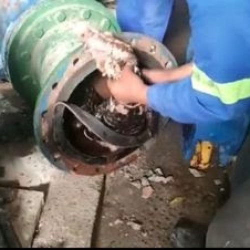 Vídeo: Jacaré é encontrado em tubulação de água em Santa Rita