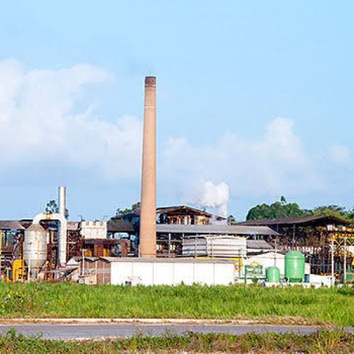 Usinas Miriri, Japungu e Monte Alegre vão distribuir álcool 70
