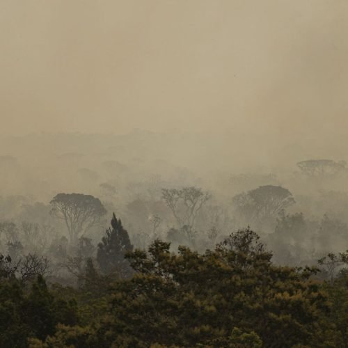 Força Nacional do SUS apoia atendimentos no Amazonas após incêndios