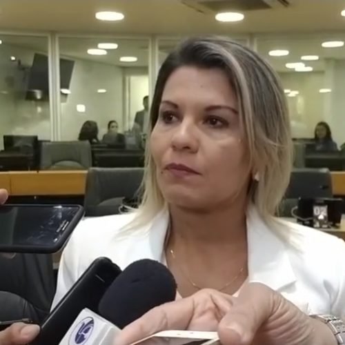 Jane Panta diz que não julgará vereadores presos em operação