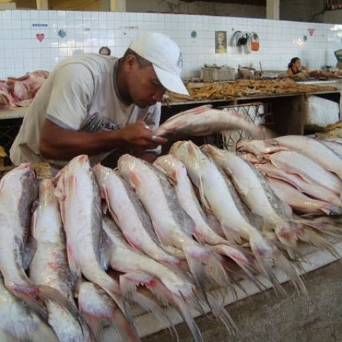 Santa Rita tem venda especial de peixes durante a Semana Santa