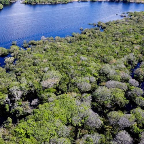 Desmatamento em áreas protegidas da Amazônia e do Cerrado tem queda